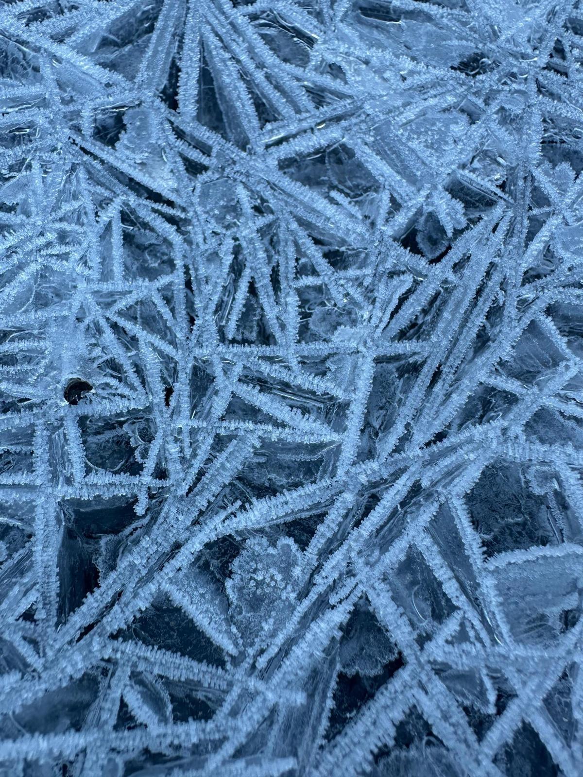 Sochaux : Conditions de travail en 2026 !!!