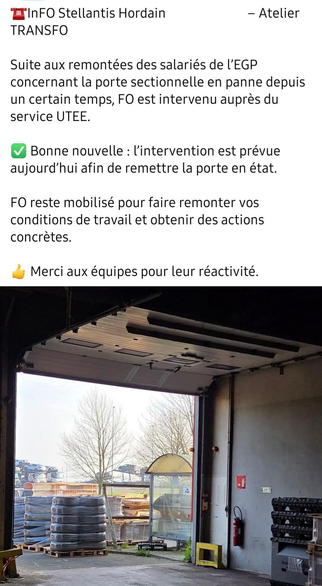 FO ACTION /REACTION FO ACTION /REACTION