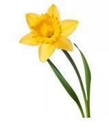 Campus : Informations relatives au CSE du 31 mars 2026 Campus : Informations relatives au CSE du 31 mars 2026