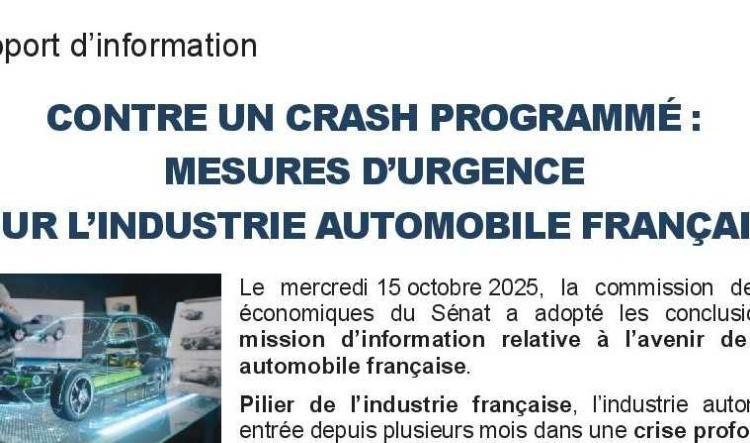 Rapport du Senat, contre un crash programmé.