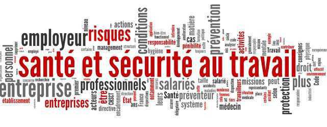 Résultats de l’enquête - 2009