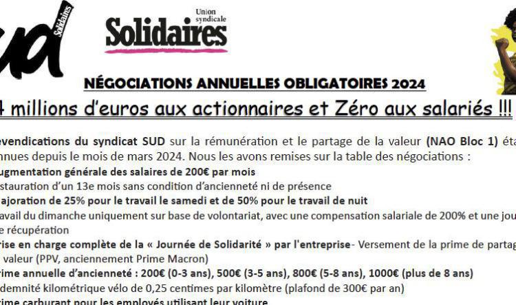 Teleperformance : NAO 2024