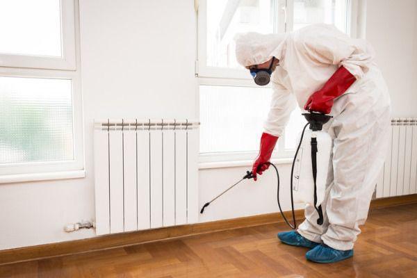 SERVICES PEST CONTROL SERVICES PEST CONTROL