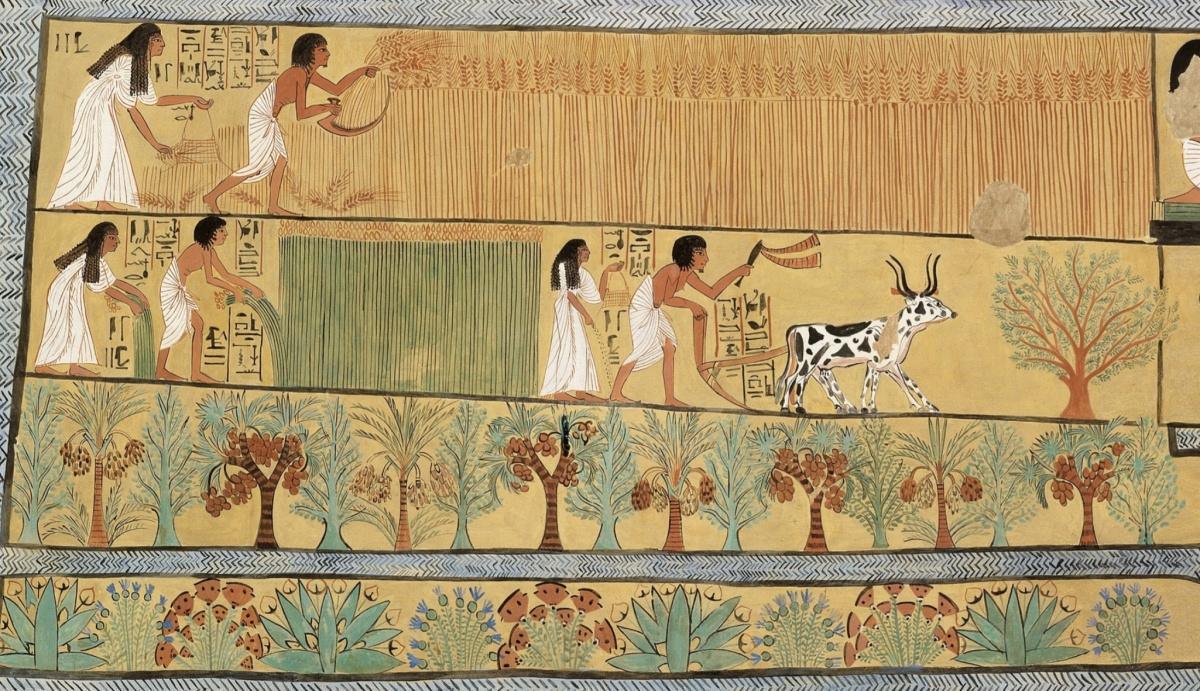 Les flux en méditerranée