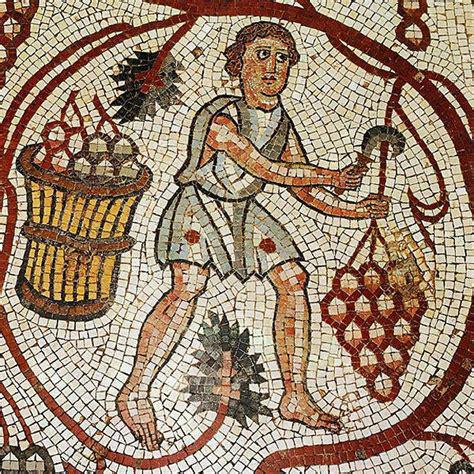 Aux Racines des Vignobles Français