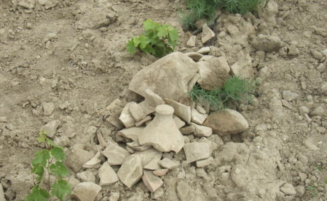 Aux Racines des Vignobles Français Aux Racines des Vignobles Français