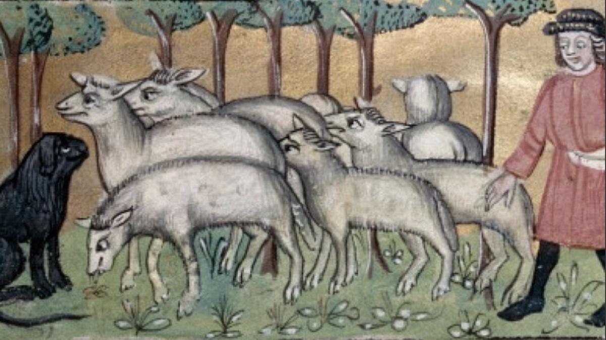 La Peste Noire (1347-1352) La Peste Noire (1347-1352)