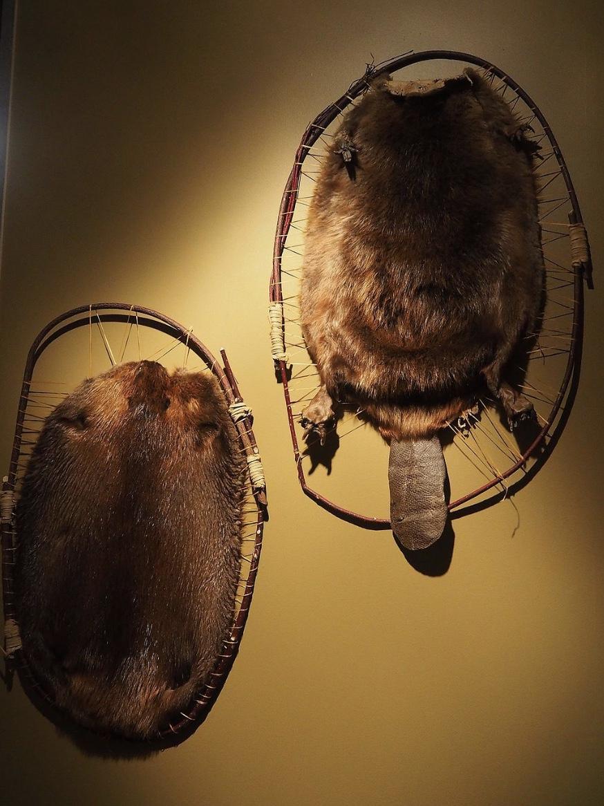 Les Voyages de Jacques Cartier