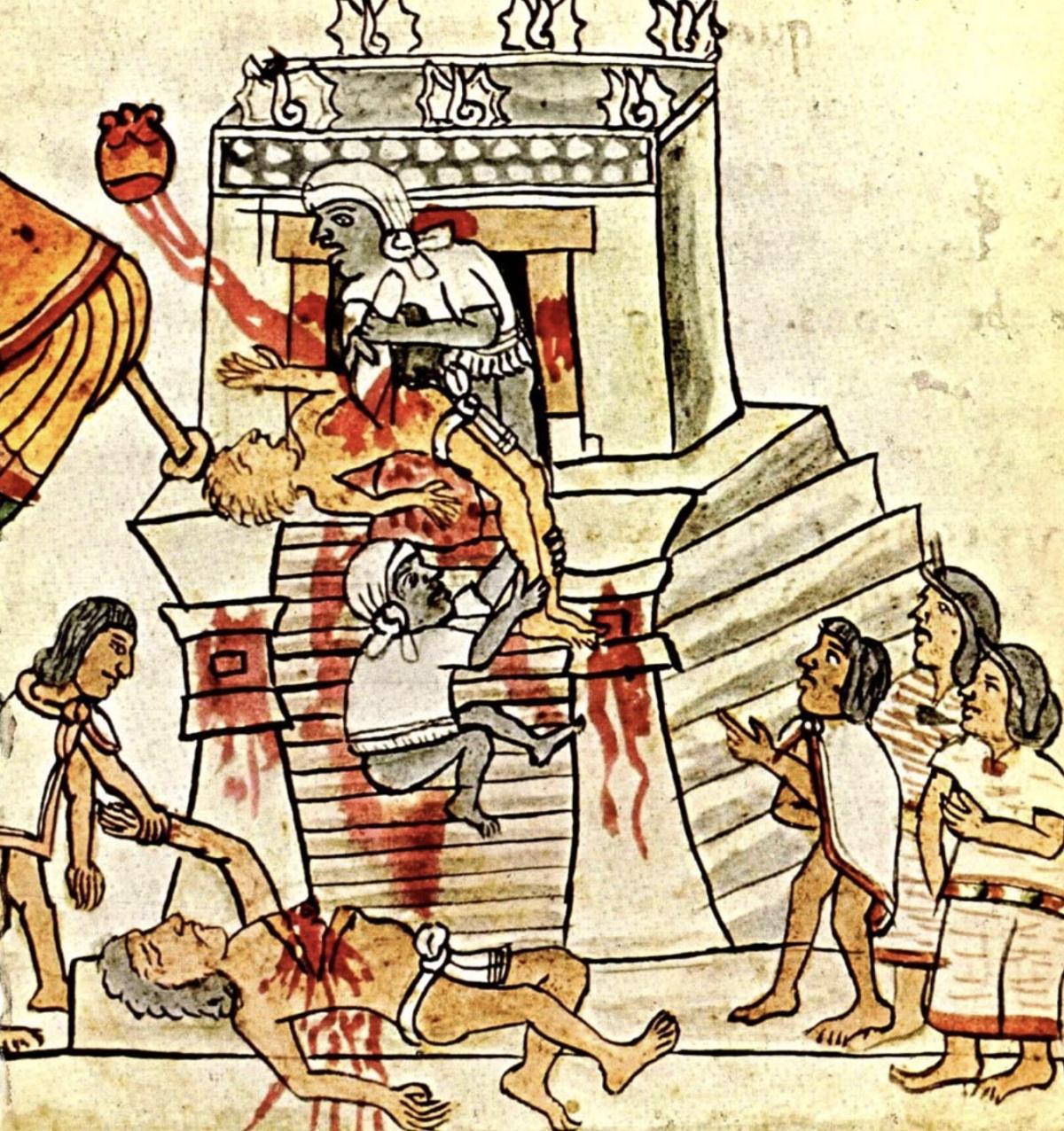 La Controverse de Valladolid : Débattre de l’Humanité La Controverse de Valladolid : Débattre de l’Humanité