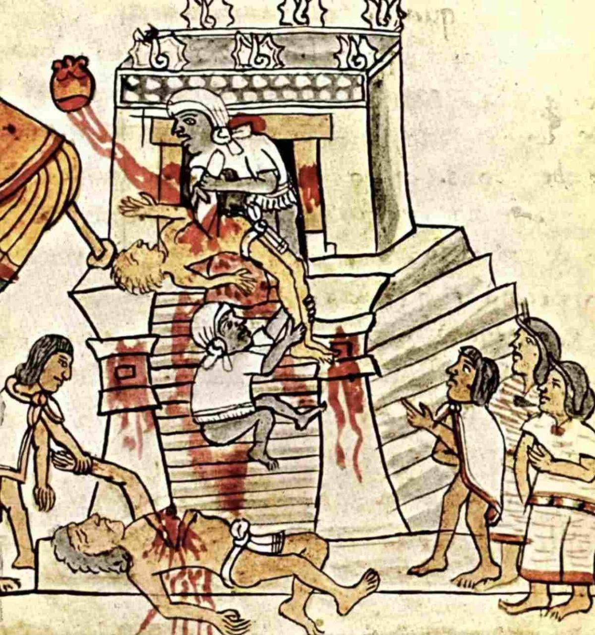 La Controverse de Valladolid : Débattre de l’Humanité La Controverse de Valladolid : Débattre de l’Humanité