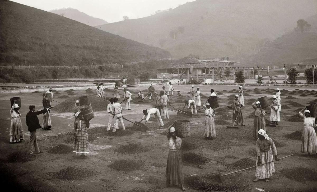 Le Commerce Triangulaire Le Commerce Triangulaire