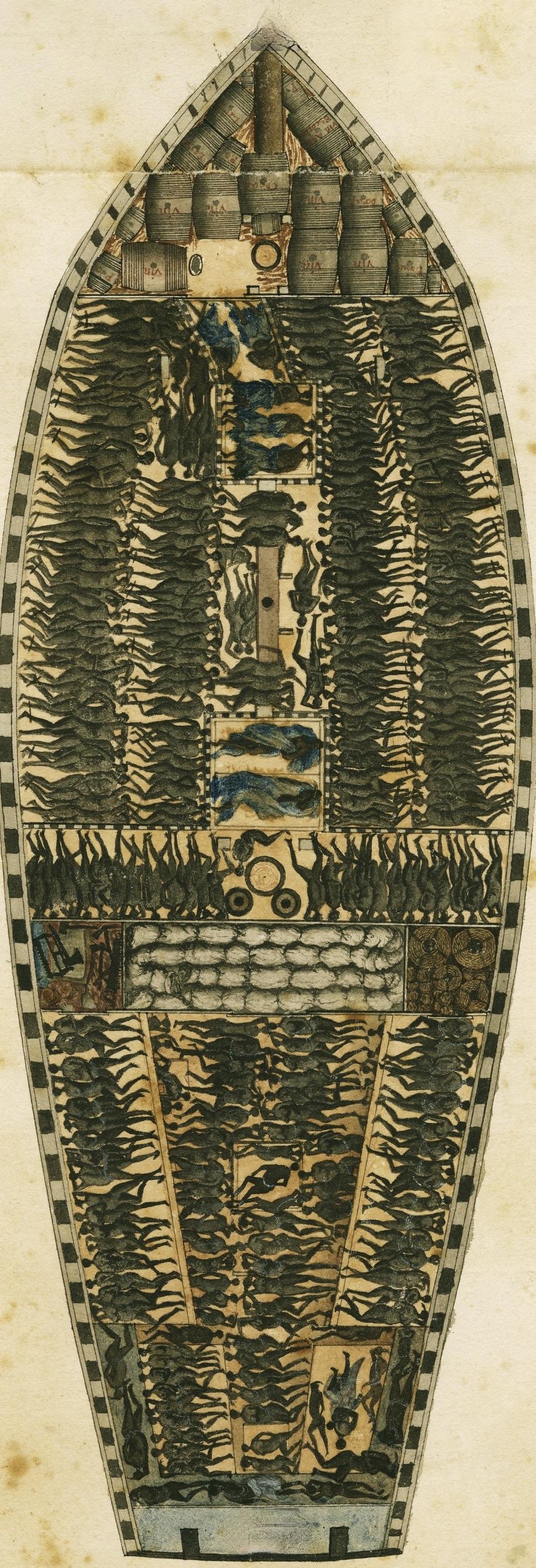 Le Destin des Esclaves – De la Capture aux Plantations Le Destin des Esclaves – De la Capture aux Plantations