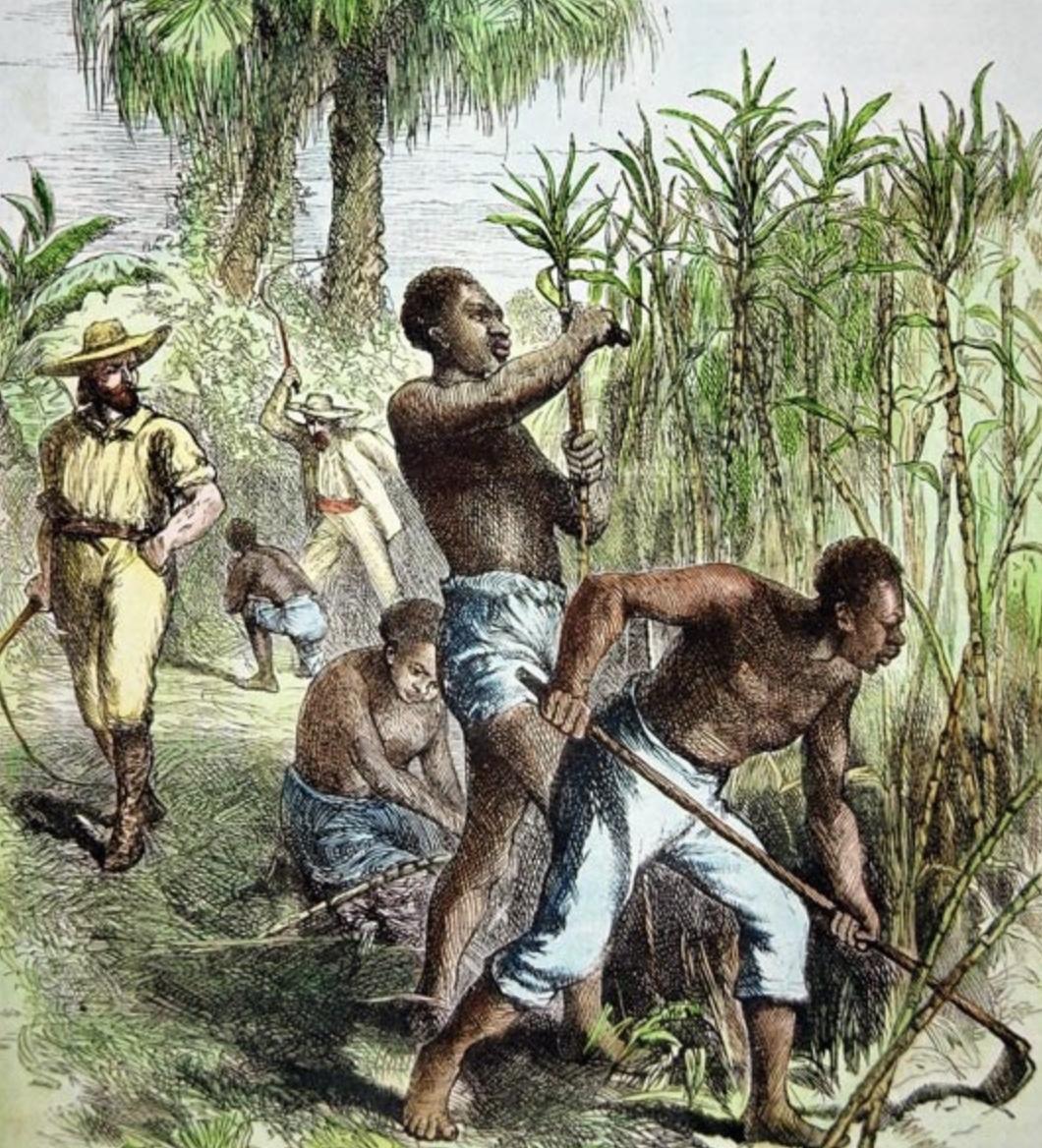 Jean-Baptiste Belley : Le Héros Noir de la Révolution Française