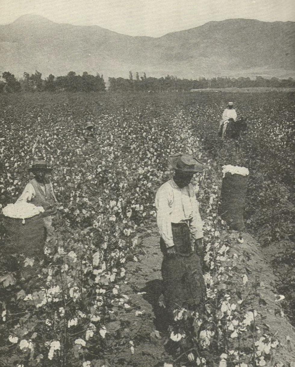 La Guerre de Sécession : Reconstruire une nation brisée La Guerre de Sécession : Reconstruire une nation brisée