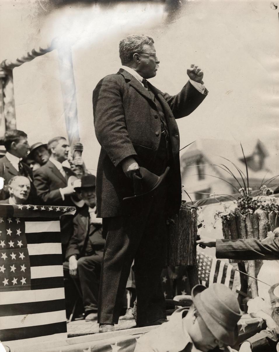 ​Theodore Roosevelt : l’Amérique au Tournant du Siècle