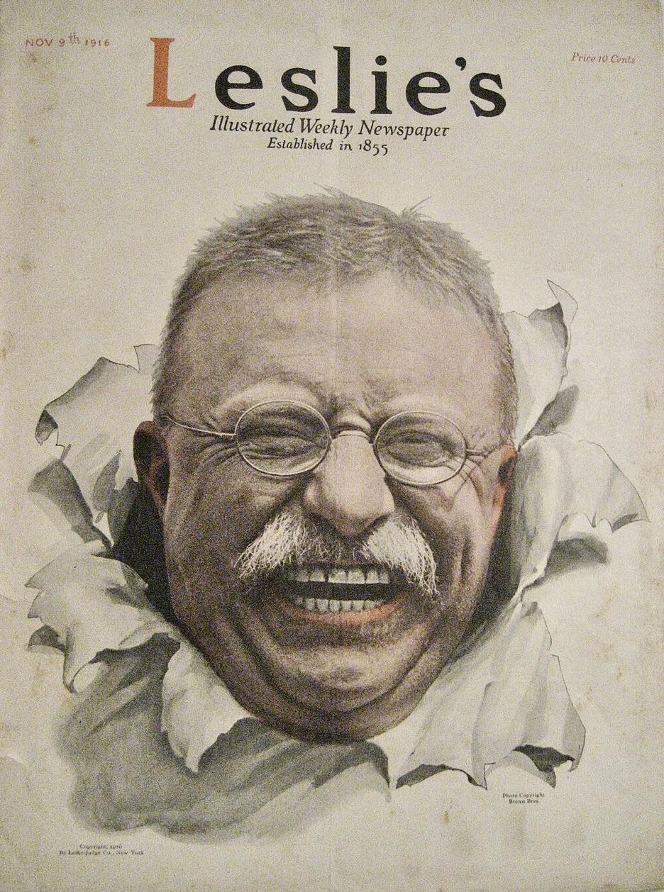 ​Theodore Roosevelt : l’Amérique au Tournant du Siècle