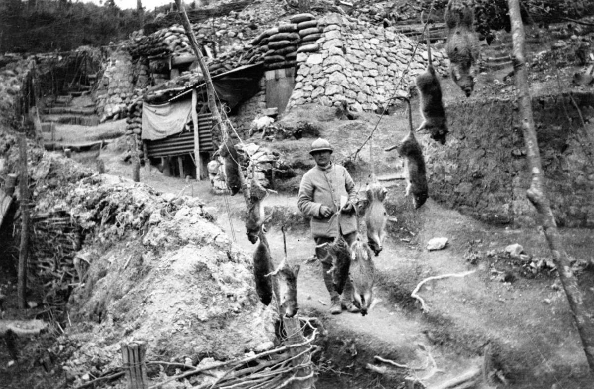 1916 : Verdun, la Somme, une Guerre Totale 1916 : Verdun, la Somme, une Guerre Totale