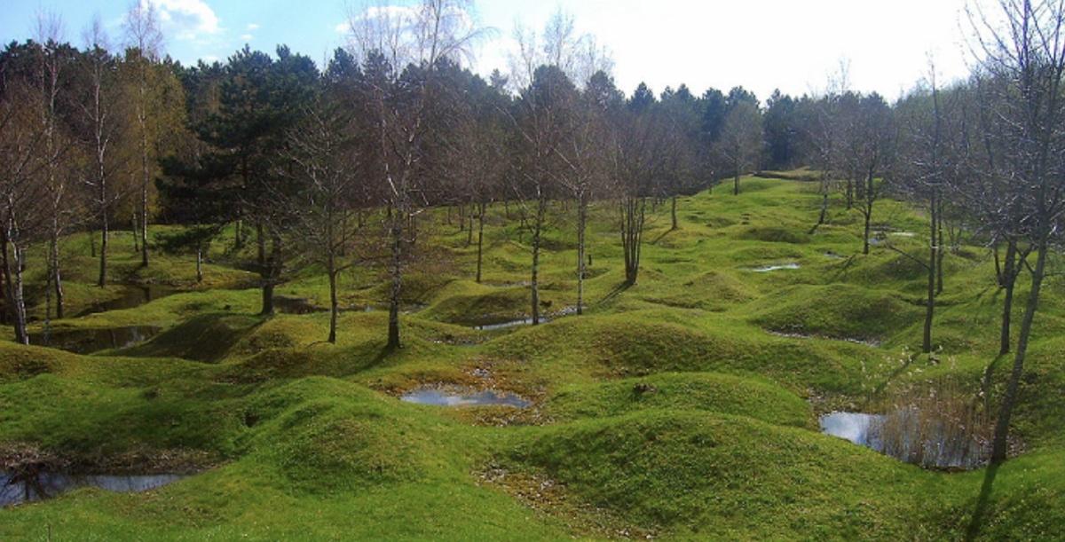 1916 : Verdun, la Somme, une Guerre Totale