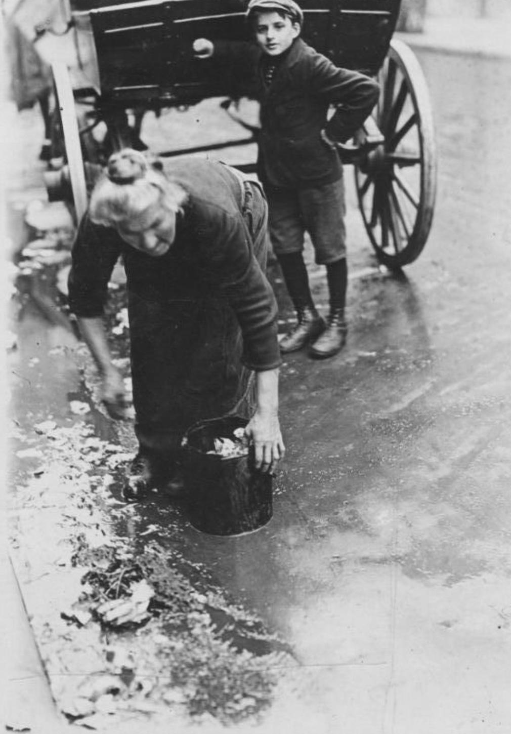 Vie et Mort de la République de Weimar