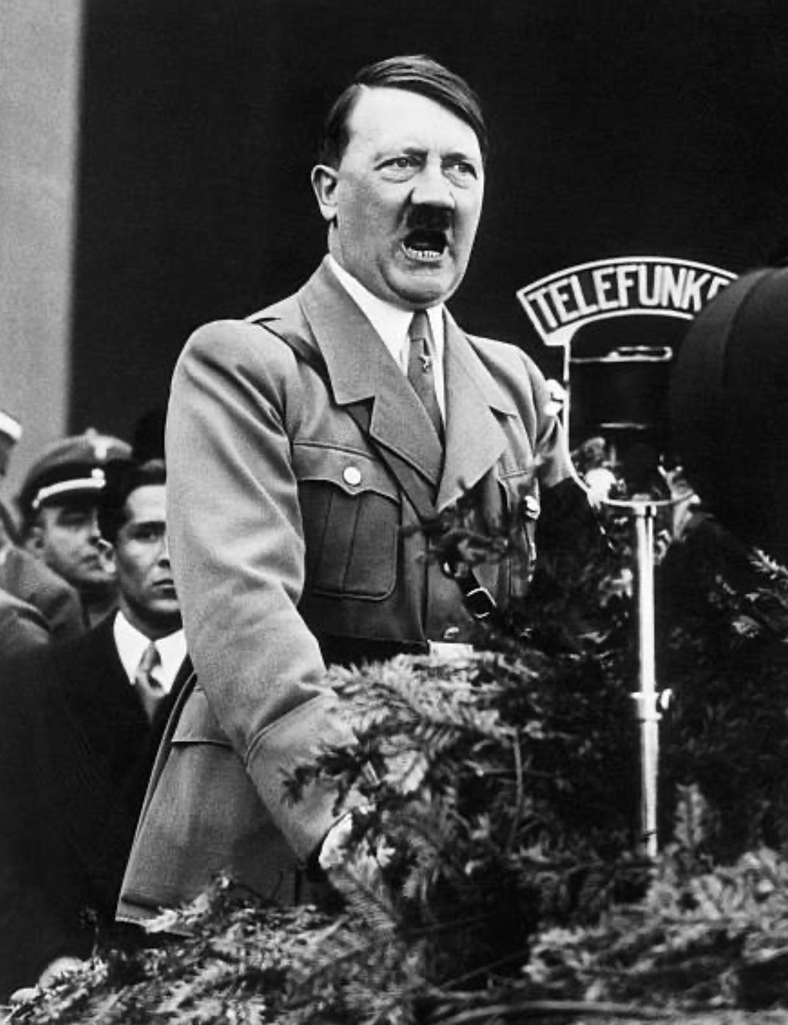 Vie et Mort de la République de Weimar