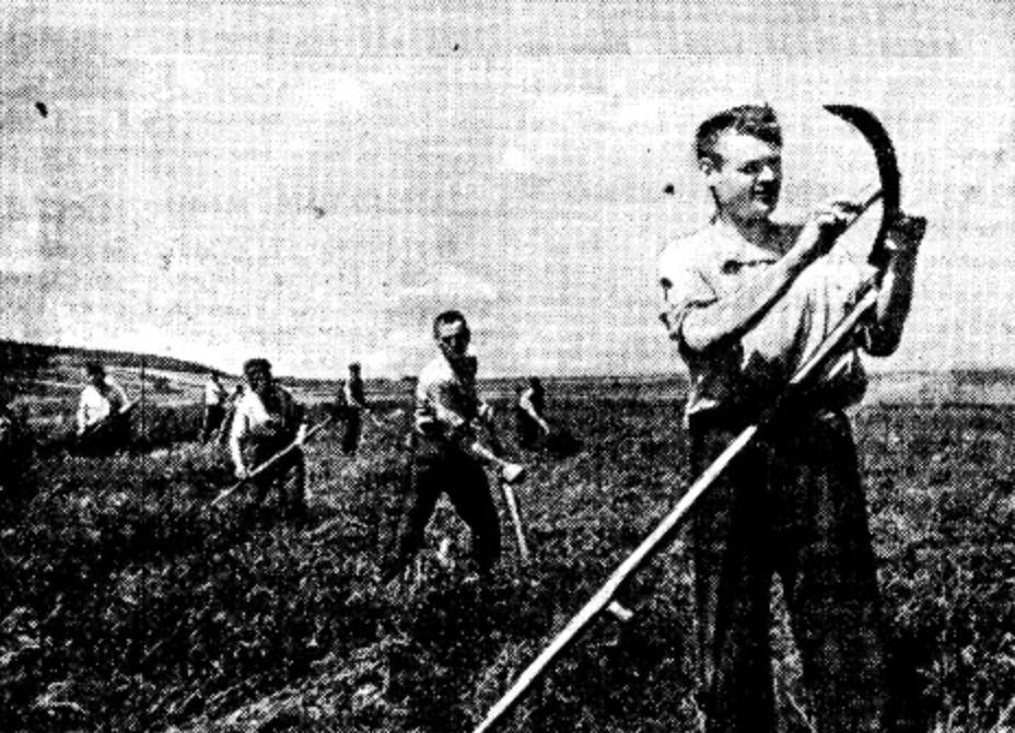 1929-1939 : les Réformes Staliniennes