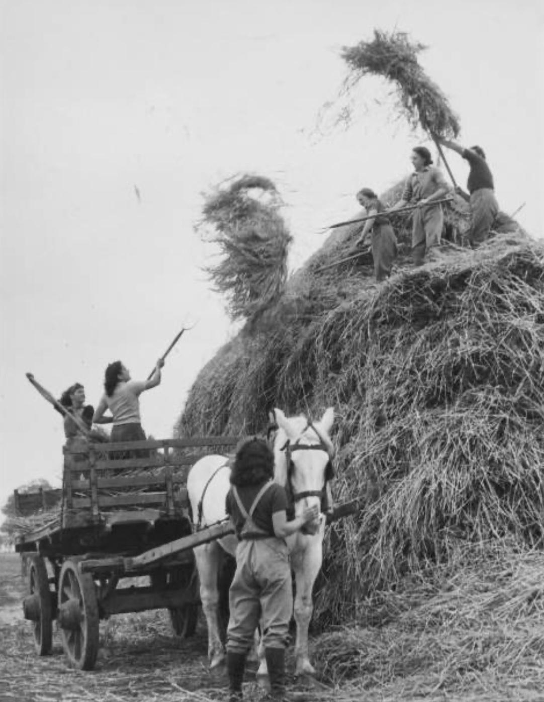 La Bataille d'Angleterre La Bataille d'Angleterre