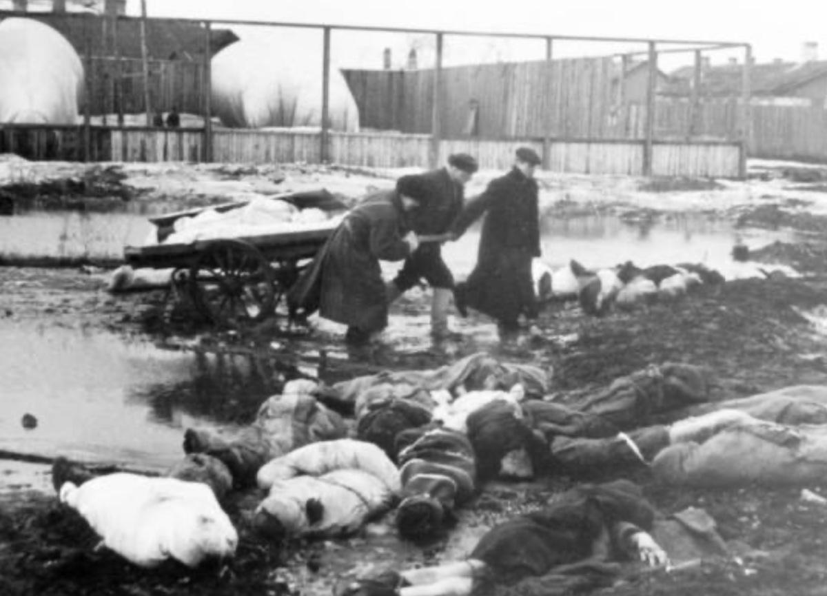 Léningrad, Stalingrad, Koursk : basculement sur le front de l'Est 