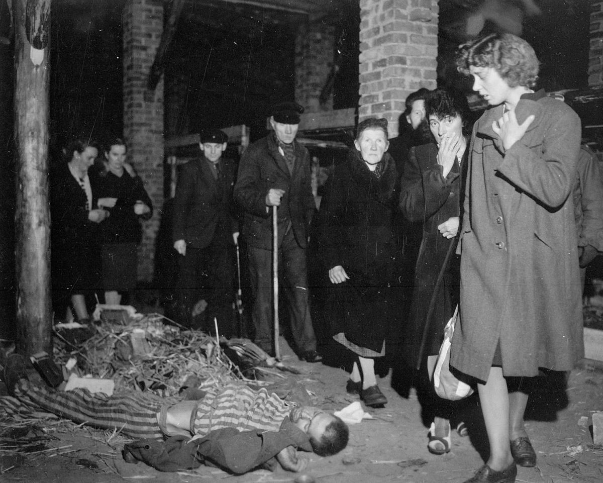 La chute du Reich : l'Étau se resserre La chute du Reich : l'Étau se resserre