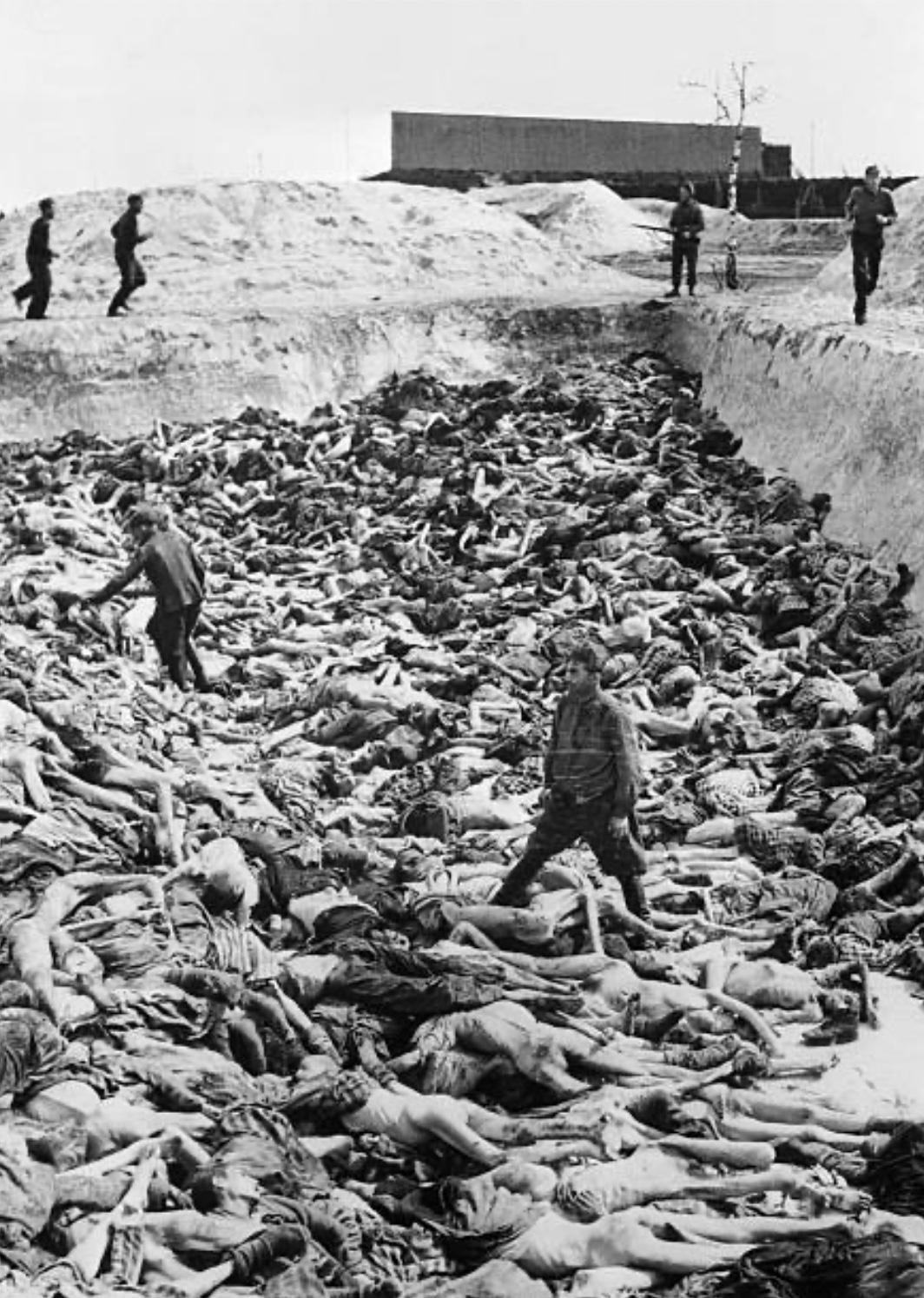 La chute du Reich : l'Écrasement final