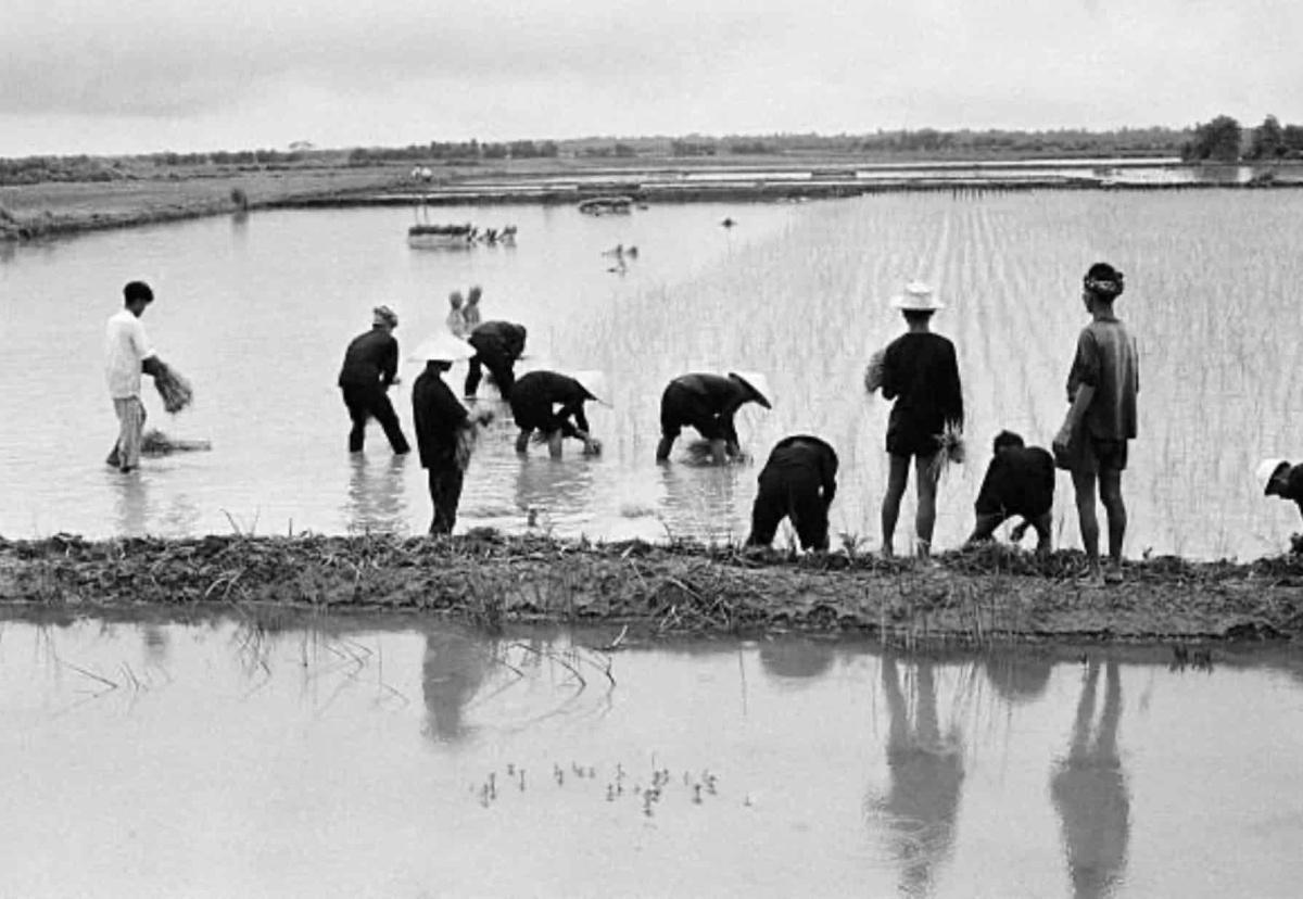 La Guerre de 10 000 jours : L'ordre ancien s'effondre (1940-1946) La Guerre de 10 000 jours : L'ordre ancien s'effondre (1940-1946)