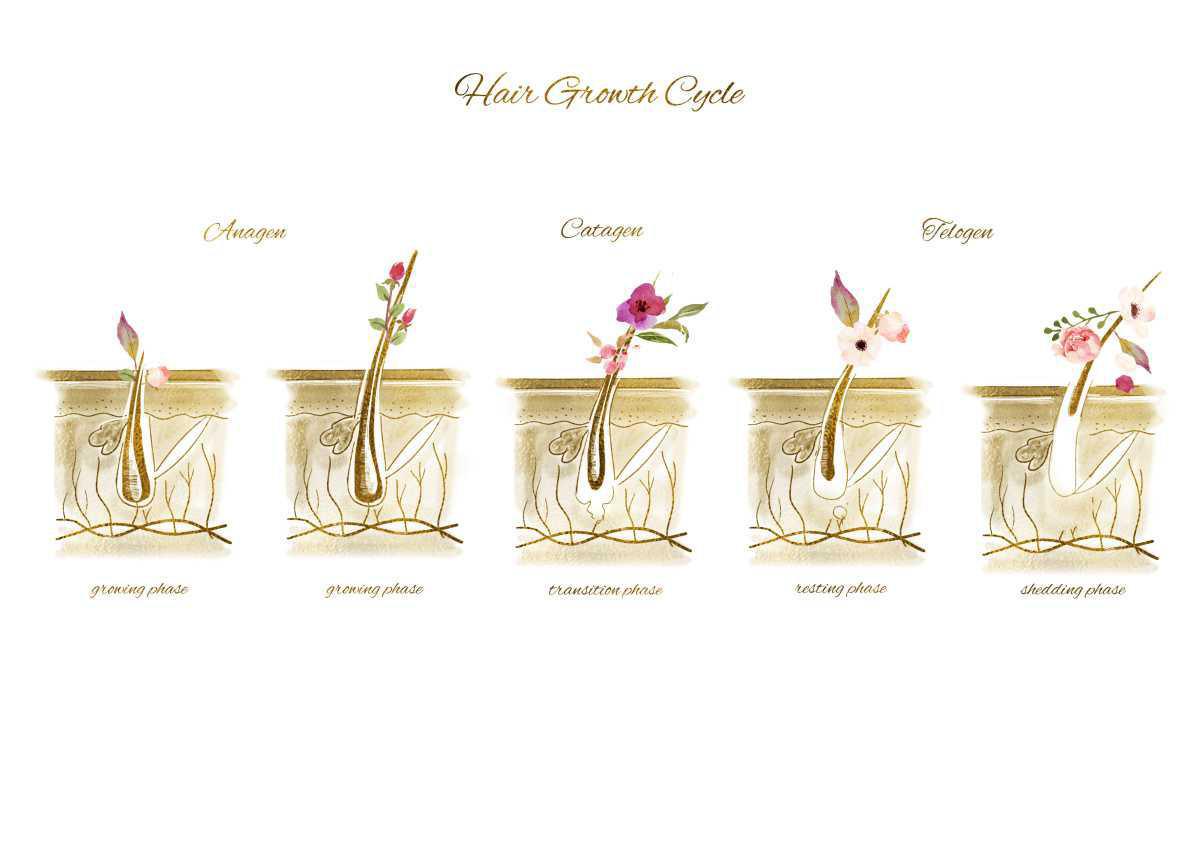 holistische Gesundheit holistische Gesundheit