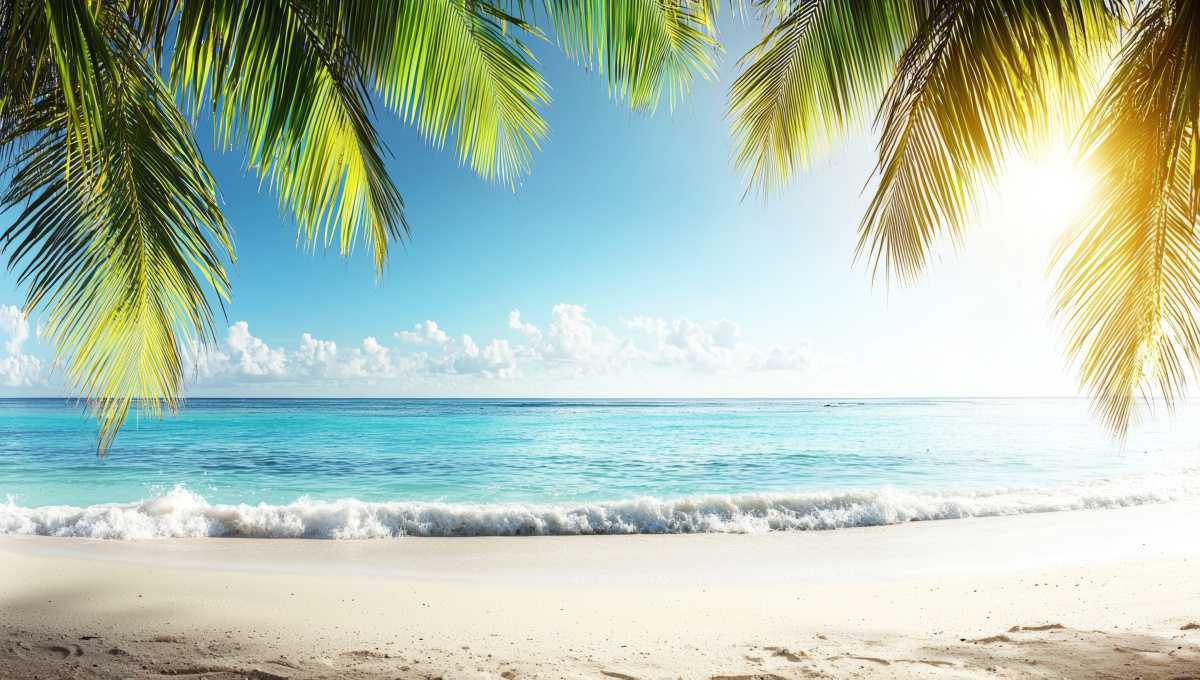 Thalgo - Das Meer steckt in uns Thalgo - Das Meer steckt in uns