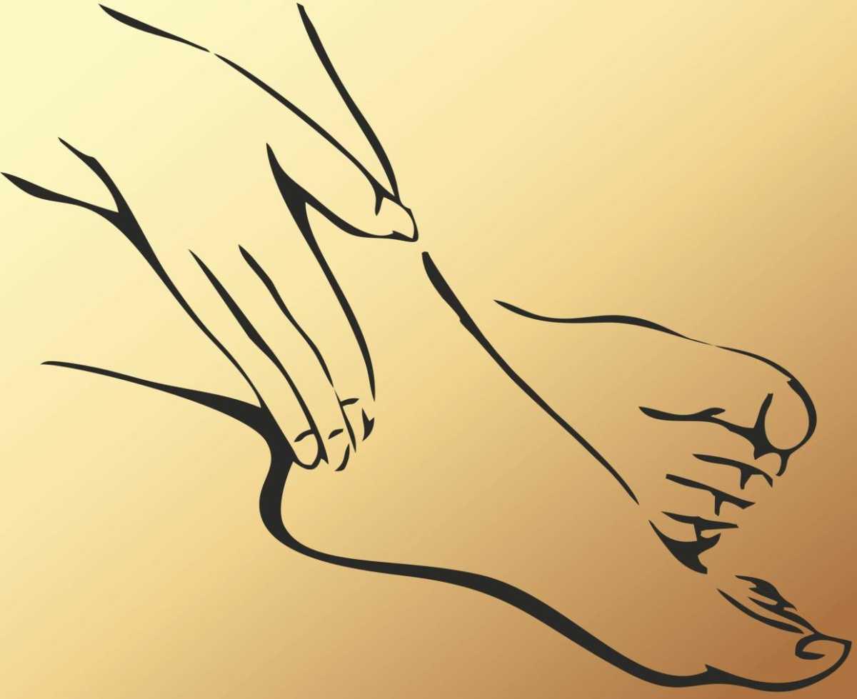 Preis hat die Qualität Preis hat die Qualität