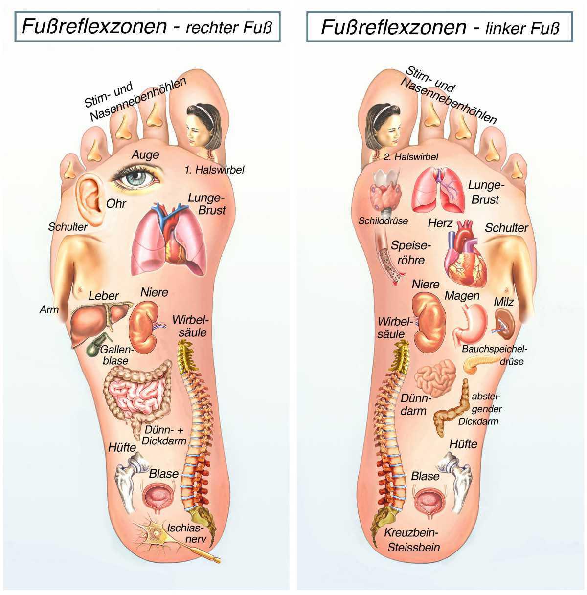 Fuß-Relax-Reflex-Massage