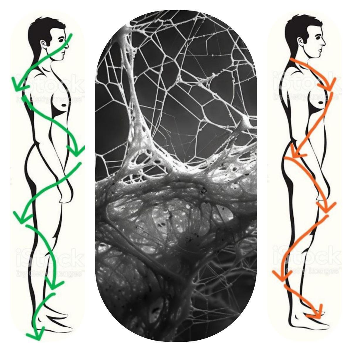 dein körper dein körper