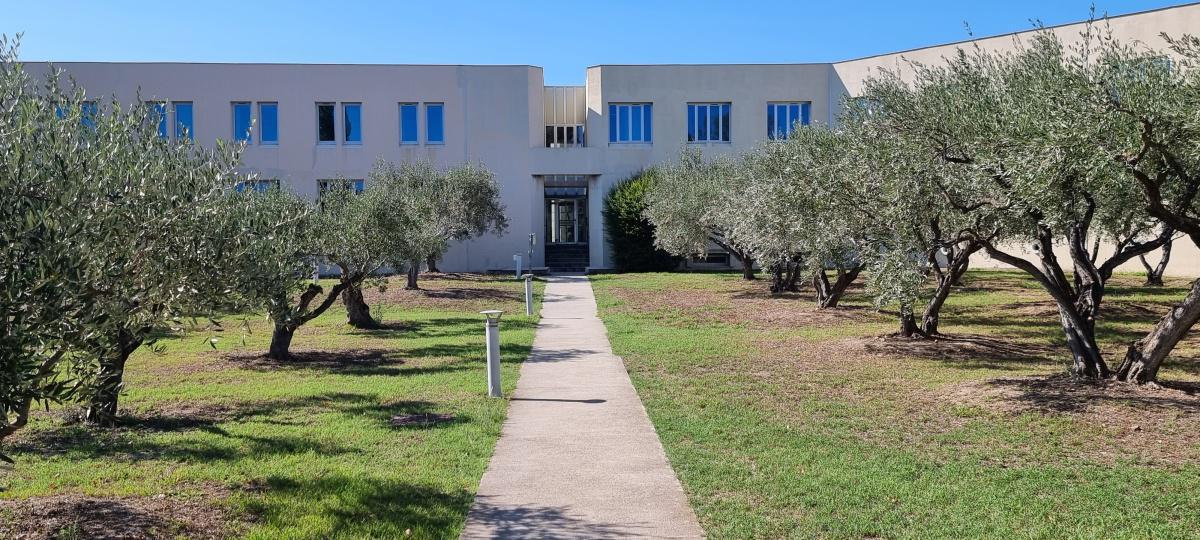 Direction Support Direction Support