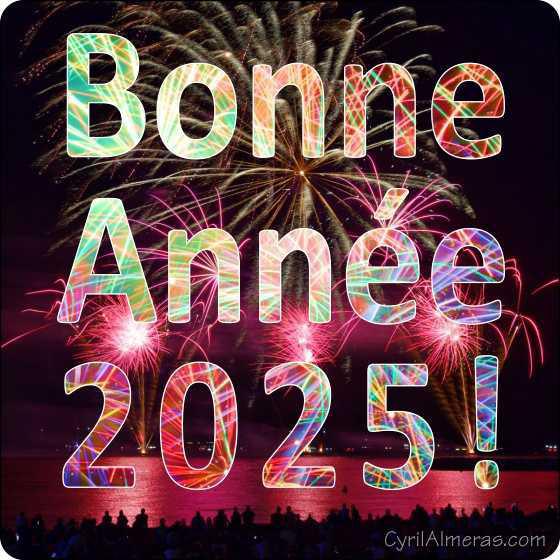 Bonne année 2025 !