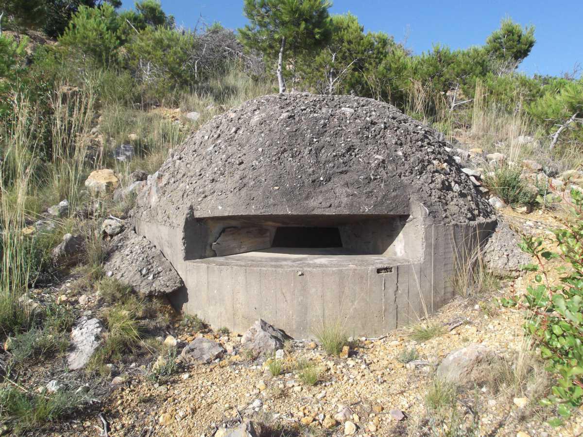 Perquè Saltum? Perquè Saltum?