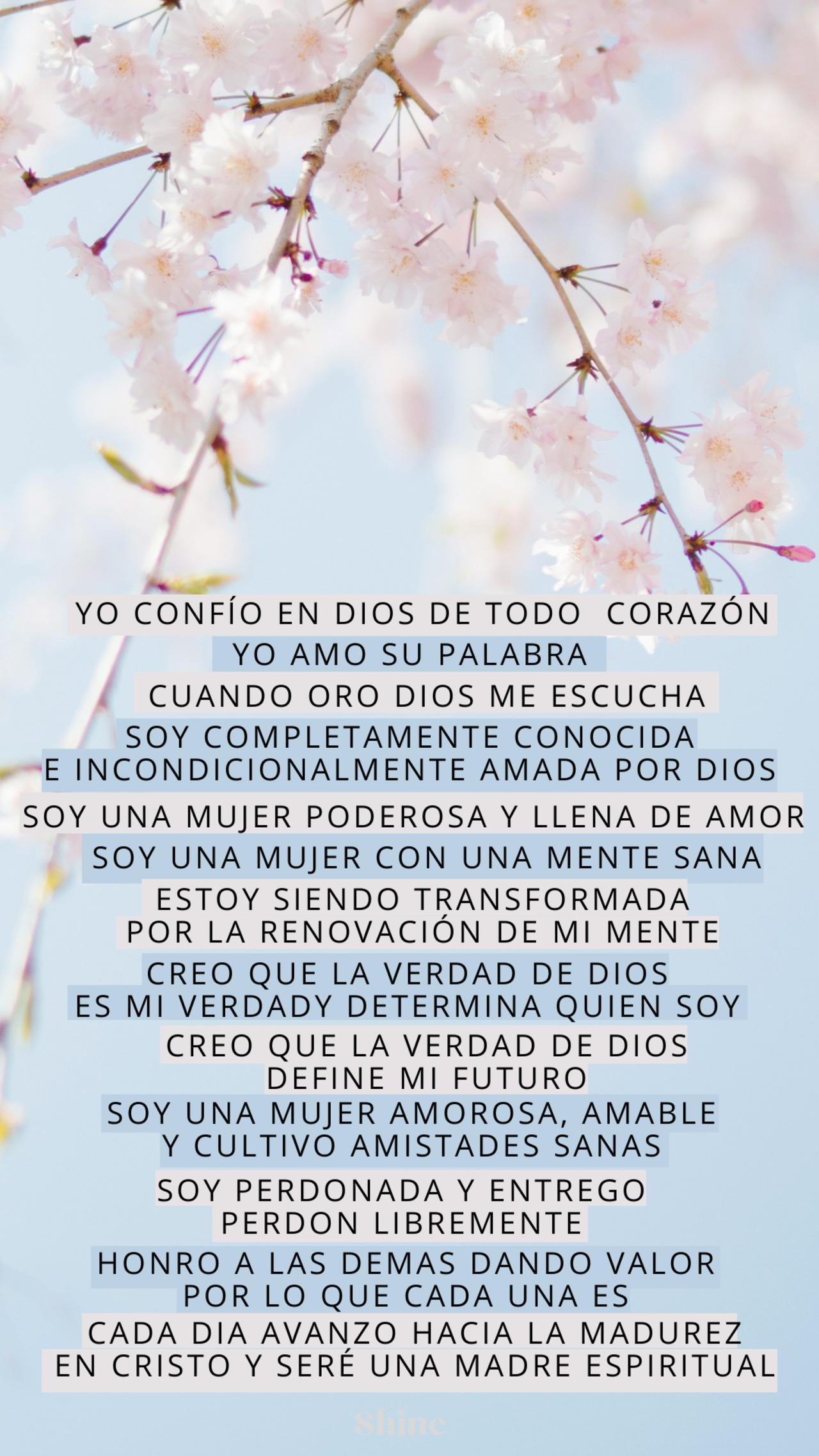 VERDADES SHINE
