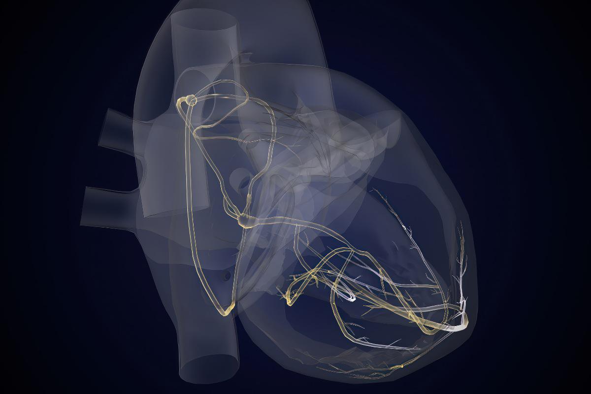 Quando Rivolgersi al Medico Quando Rivolgersi al Medico