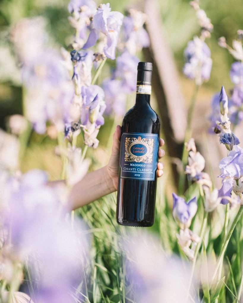 Tenuta Lamole di Lamole