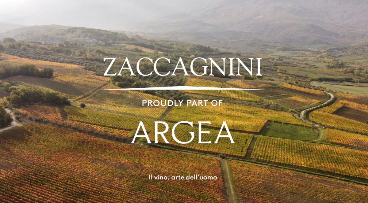 Zaccagnini