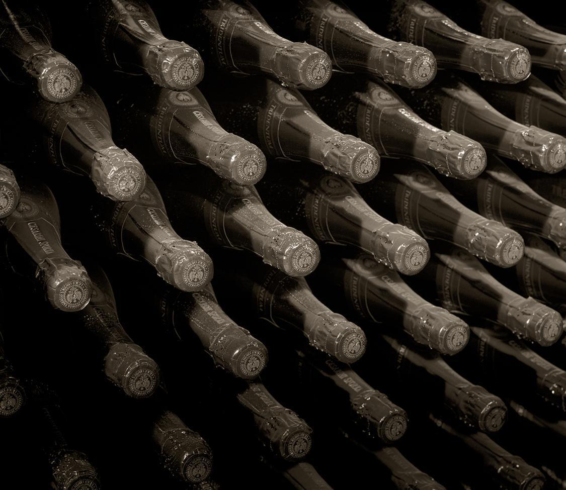 Gruppo G.L.V. Gruppo G.L.V.