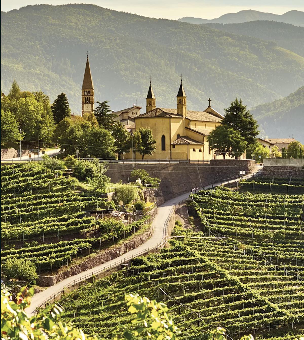 Cembra Cantina di Montagna (G.L.V.)