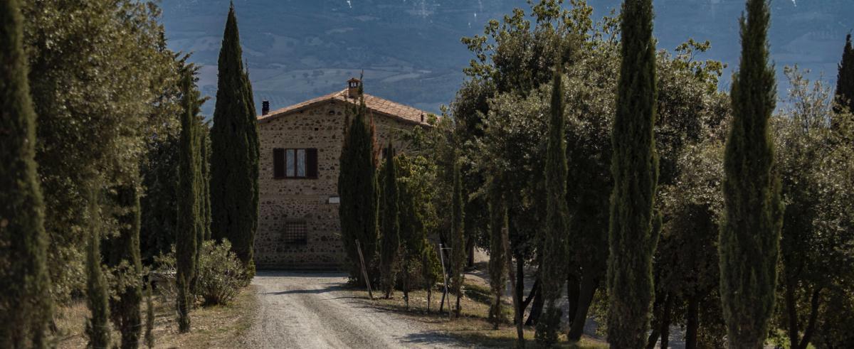 Colle Massari Wine Estates