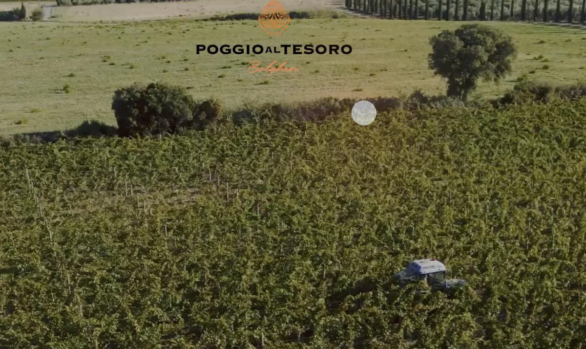 Poggio al Tesoro 