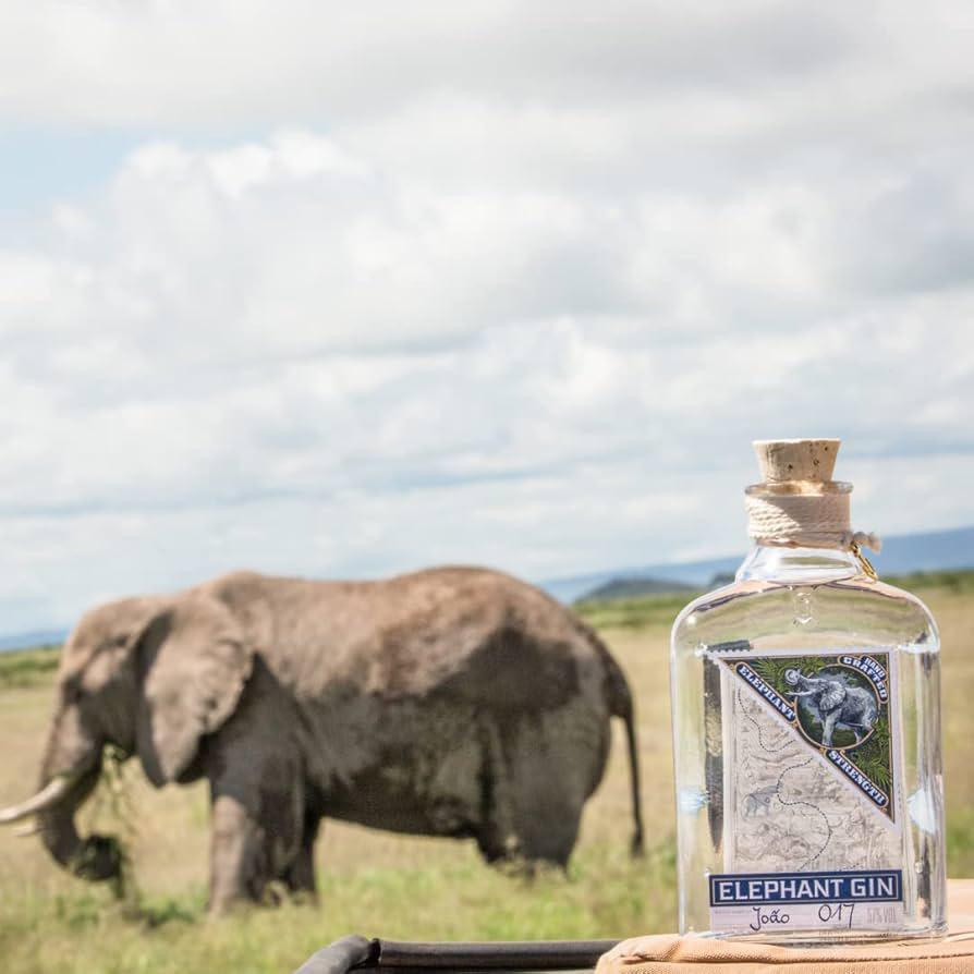 GIN COMPAGNIA DEI CARAIBI ELEPHANT