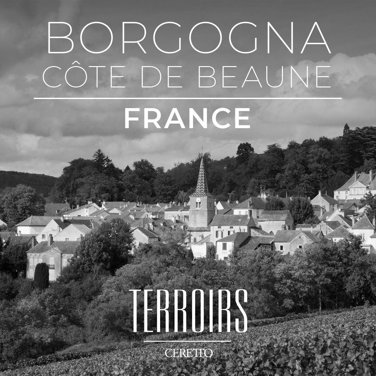 TERROIRS CERETTO