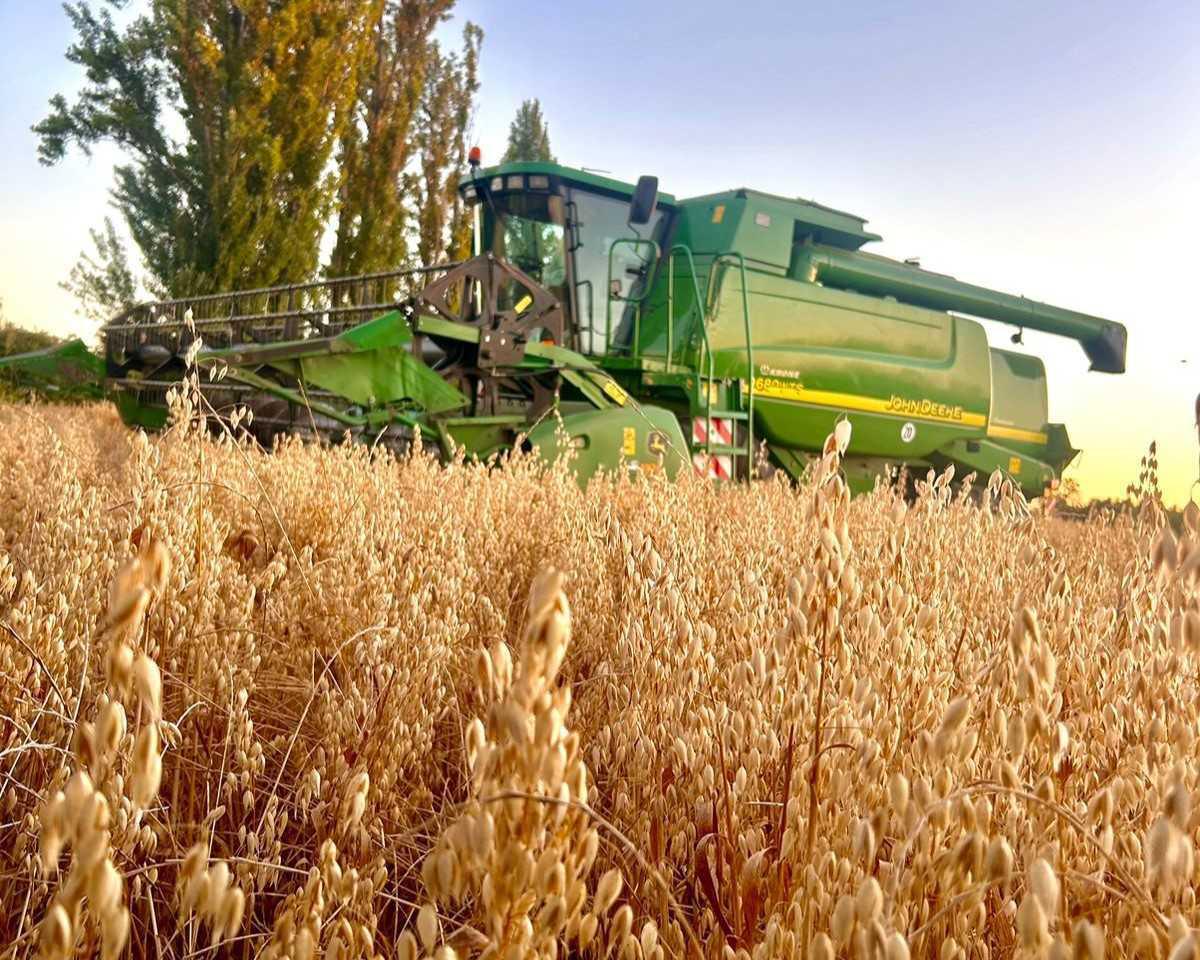 Acusan bajos precios de compra de cereales en El Carmen: Autoridades y agricultores piden intervención del Gobierno Acusan bajos precios de compra de cereales en El Carmen: Autoridades y agricultores piden intervención del Gobierno