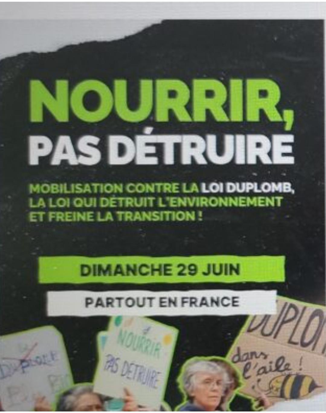 Loi Duplomb : où en est la pétition et quelle suite peut lui être donnée